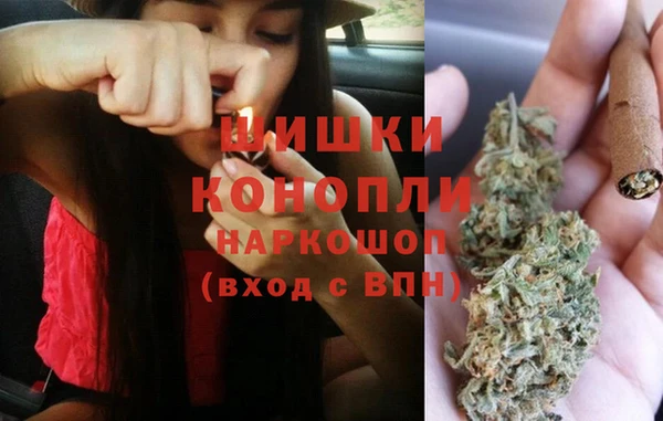 шишки Балабаново