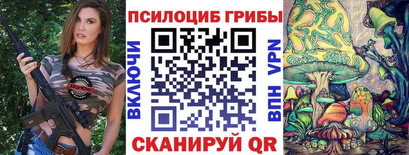 Псилоцибиновые грибы Magic Shrooms  блэк спрут как зайти  Нерчинск  купить наркотики цена 